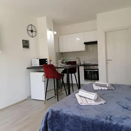 Leona Vidikovac, Pula