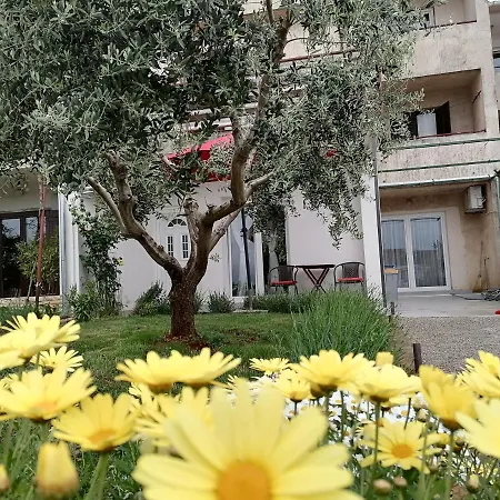 Leona Vidikovac, * Пула