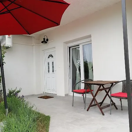 Leona Vidikovac, * Pula