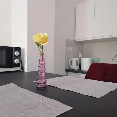 Leona Vidikovac, Apartman Póla
