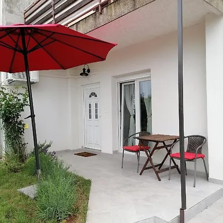 Apartman Leona Vidikovac, *