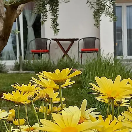 Leona Vidikovac, Apartman Póla
