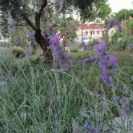 Apartman Leona Vidikovac, Póla