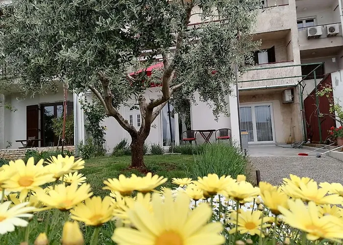 Leona Vidikovac, * Pula