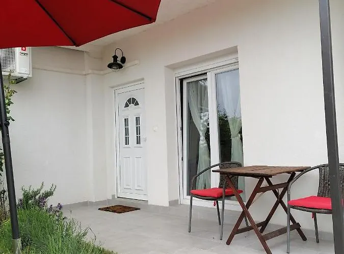 Leona Vidikovac, * Pula