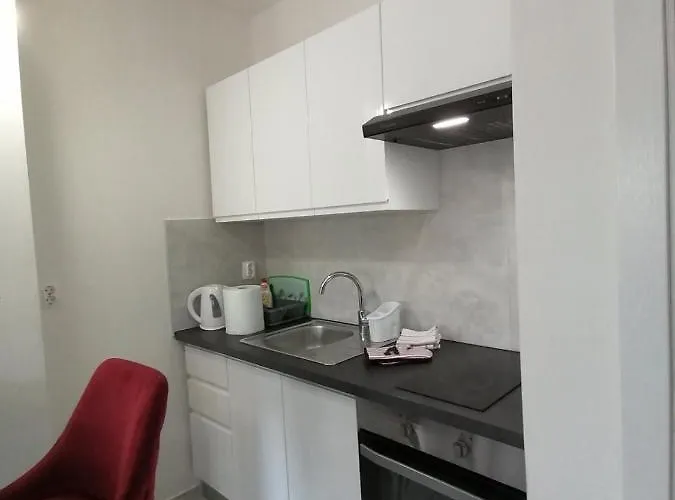 Leona Vidikovac, * Pula