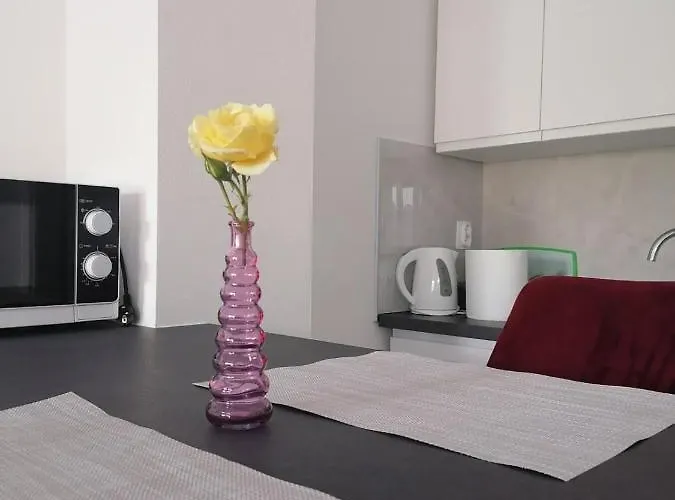 Leona Vidikovac, Apartamento Pula