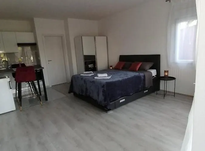 Leona Vidikovac, Pula