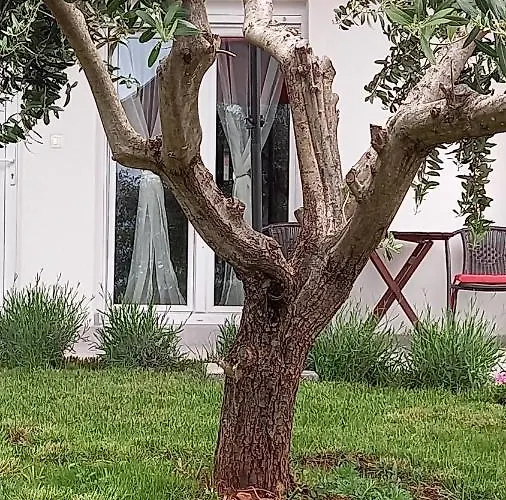 Apartamento Leona Vidikovac, *