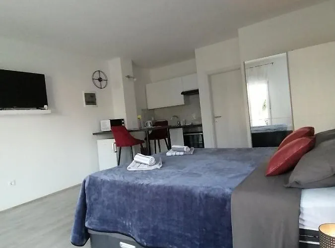 Leona Vidikovac, Pula