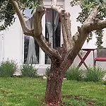 Apartment Leona Vidikovac, *